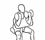 Two-Arm Preacher Curl with Dumbbell Two-Arm Preacher Curl with Dumbbell 2