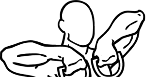 Upright Band Rows Upright Band Rows 1