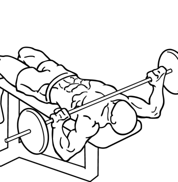 Wide Grip Decline Bench Press 2