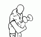 Zottman Preacher Curl with Dumbbells zottman preacher curl 2