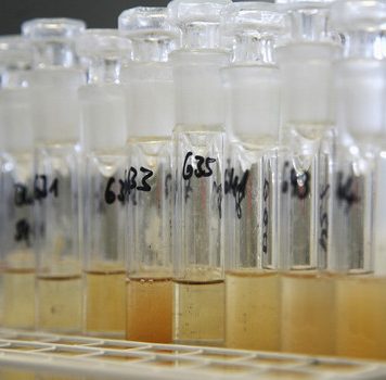 af857f5e63cb9c65d60d12bb28960f21