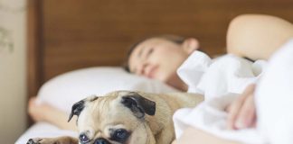 Always Tired? You May Have Sleep Apnea