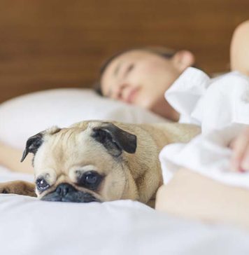 pexels burst 545016 web