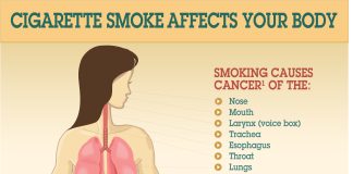 Effects of Smoking on Your Health Effects of Smoking