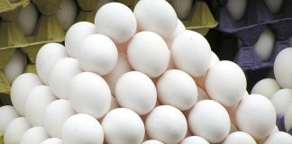 The Best way to get Natural Protein- Egg White egg 818191 1280