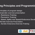 trainingprinciples