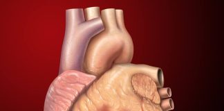 CoQ10 Supplementation may improve heart function