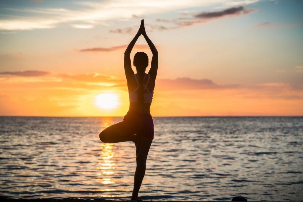 The 8 Pillars of Holistic Health and Wellness 1 Holistic Health and wellness