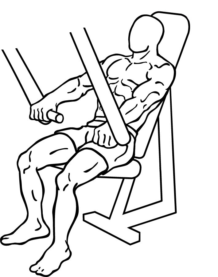 Decline Chest Press 1 Decline Chest Press 1
