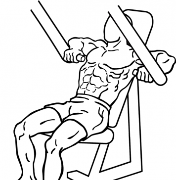 Decline Chest Press 1