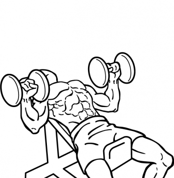 Incline Shoulder Press Dumbbell