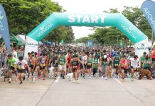 Run for fun, fitness, pets and the environment at Vermosa Green Run Run for fun, fitness, pets and the environment at Vermosa Green Run