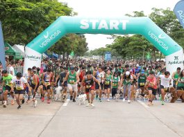 Run for fun, fitness, pets and the environment at Vermosa Green Run