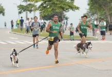 Vermosa Green Run: A Fun-Filled Fitness Event for Humans and Canine Companions Vermosa Green Run: A Fun-Filled Fitness Event for Humans and Canine Companions
