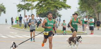 Vermosa Green Run: A Fun-Filled Fitness Event for Humans and Canine Companions Vermosa Green Run: A Fun-Filled Fitness Event for Humans and Canine Companions