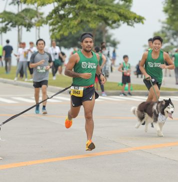 Vermosa Green Run: A Fun-Filled Fitness Event for Humans and Canine Companions