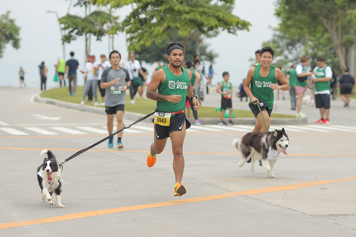 Vermosa Green Run: A Fun-Filled Fitness Event for Humans and Canine Companions