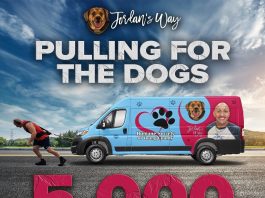 Jordan's Way Pulling For Patreons Graham, Texas